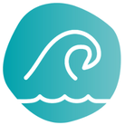 Waves Icon